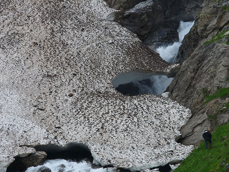 Lamproderma ovoideumechinulatum ?